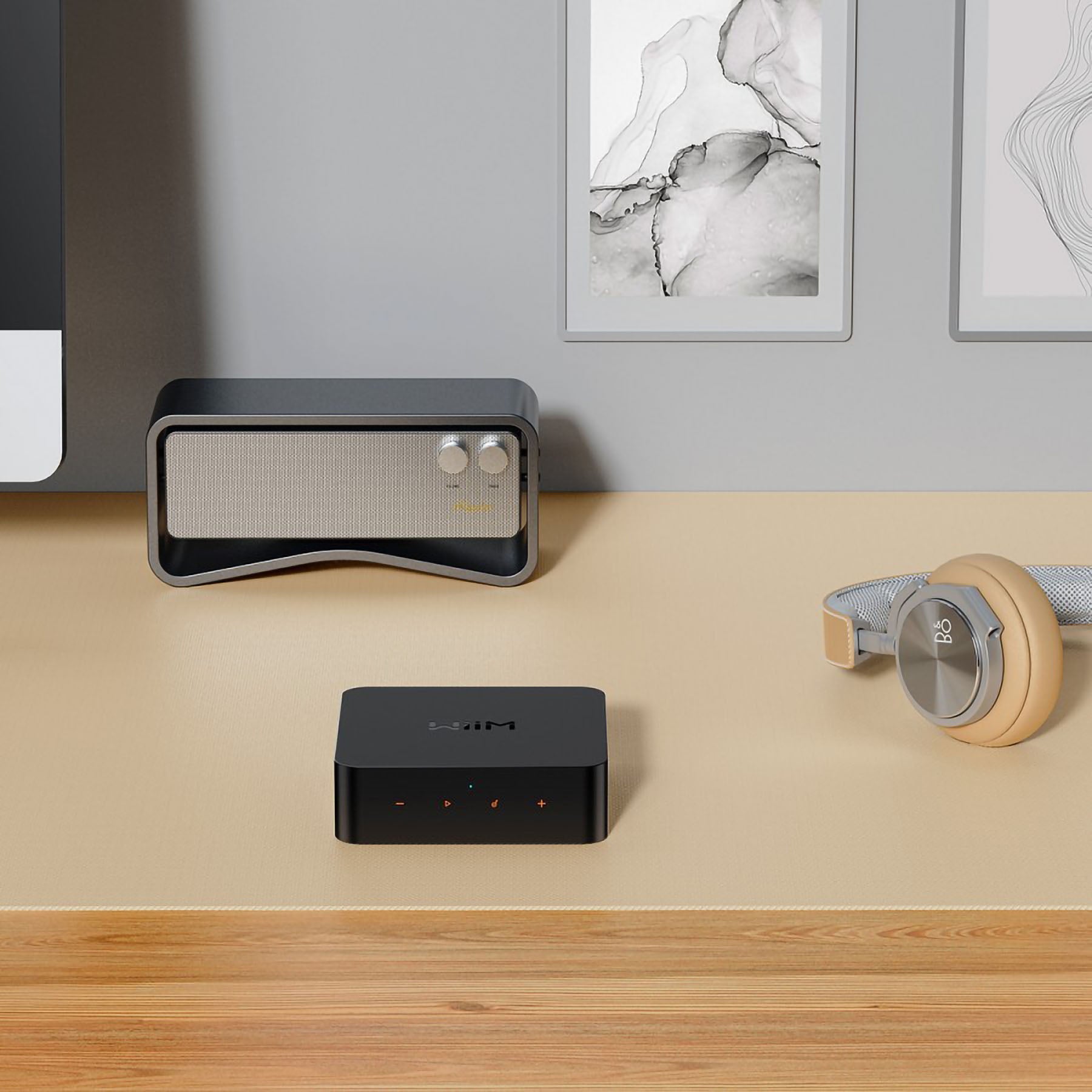 WiiM Pro Plus Wireless Audio Streamer AirPlay 2 & Chromecast