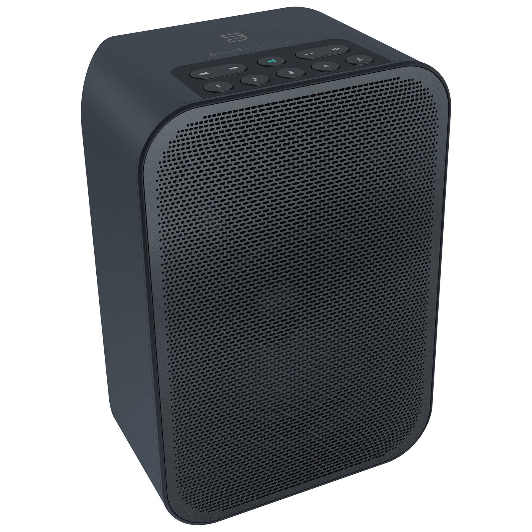 Bluesound PULSE FLEX 2i Portable Wireless Multi-Room Music Streaming Speaker